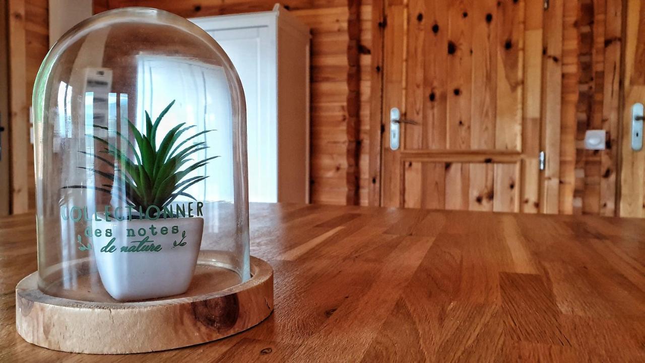 Le Chalet Jacuzzi Et Detente 4 Etoiles Bagnères-de-Bigorre Zewnętrze zdjęcie